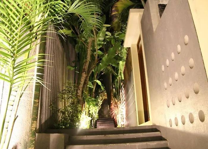 Travis Villa